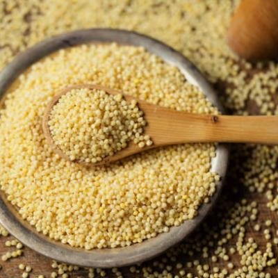 Foxtail Millet