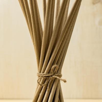 BambooStraws